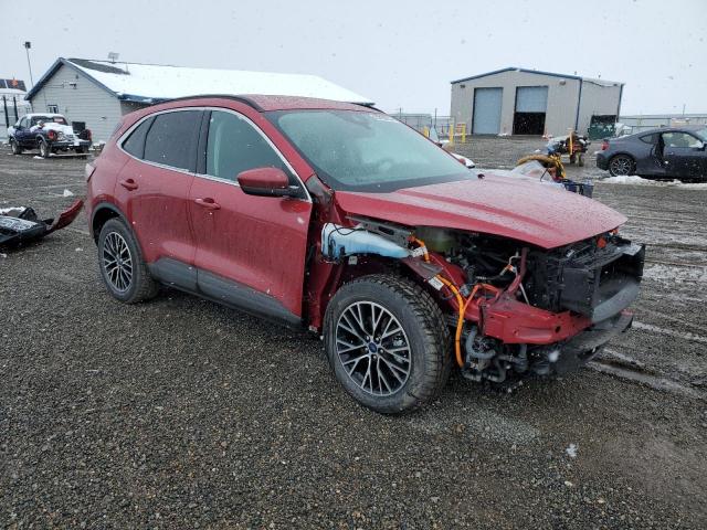 Ford Escape Titanium Image 6