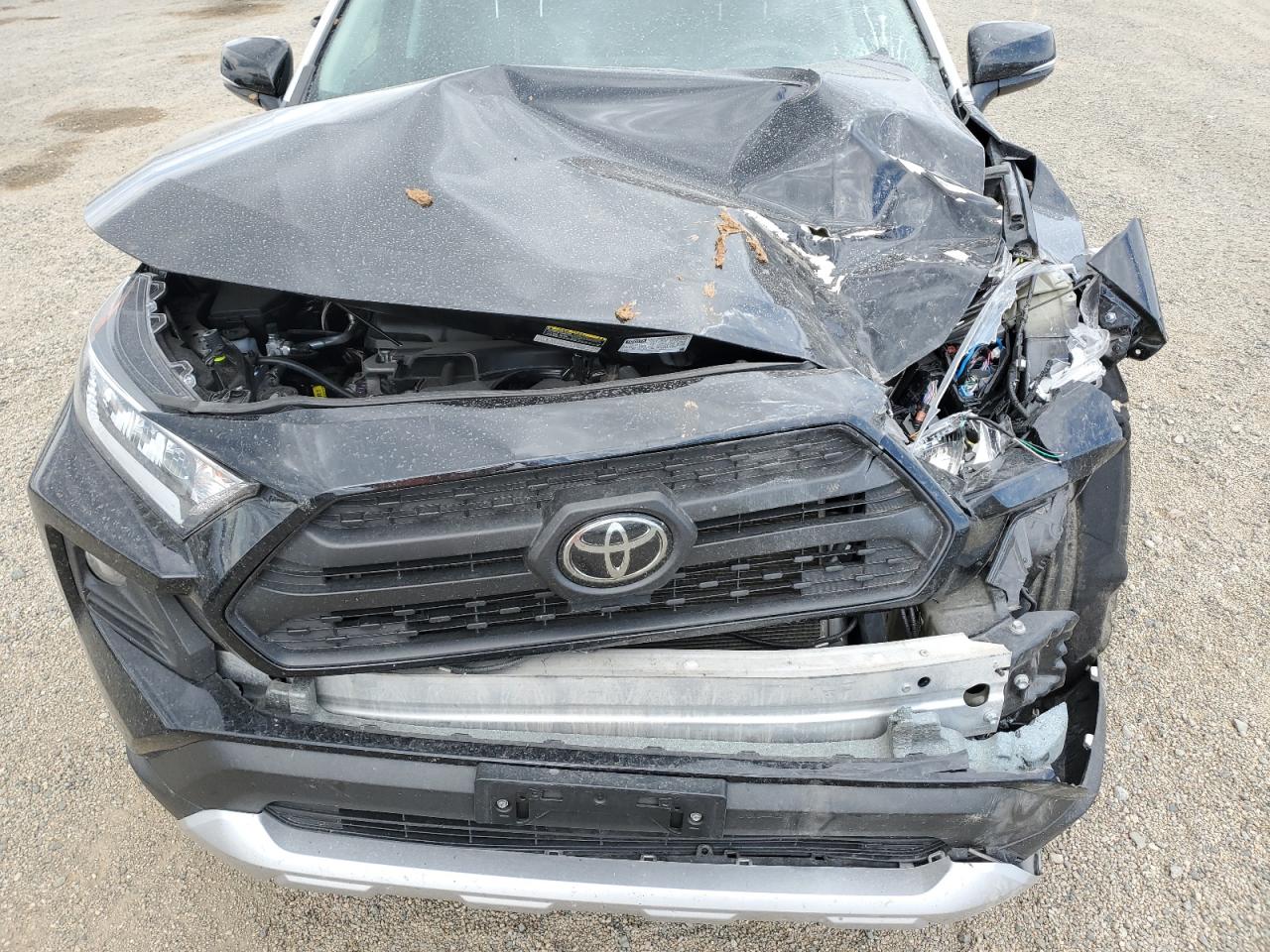 Toyota RAV4 Adventure Image 11