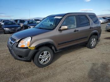  Salvage Honda Crv