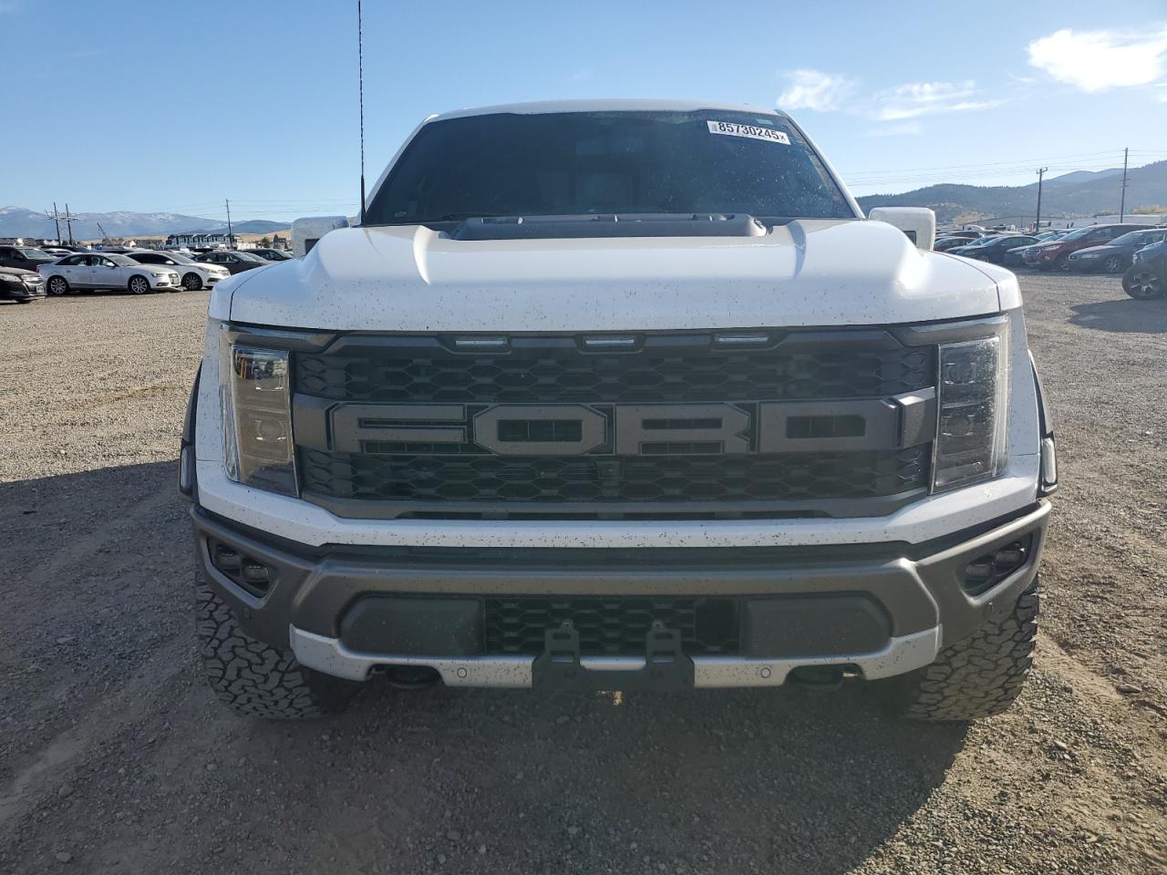 Ford F-150 Raptor Image 6