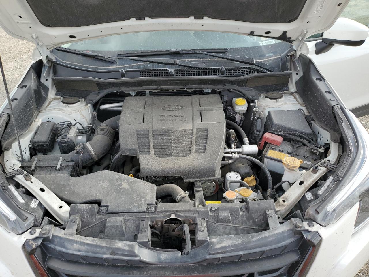 Subaru Forester Premium Image 8