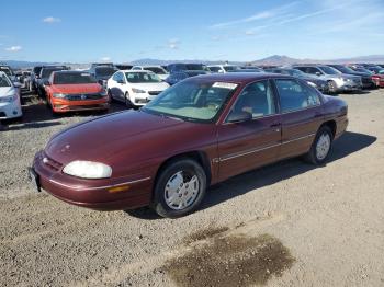  Salvage Chevrolet Lumina