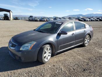  Salvage Nissan Maxima