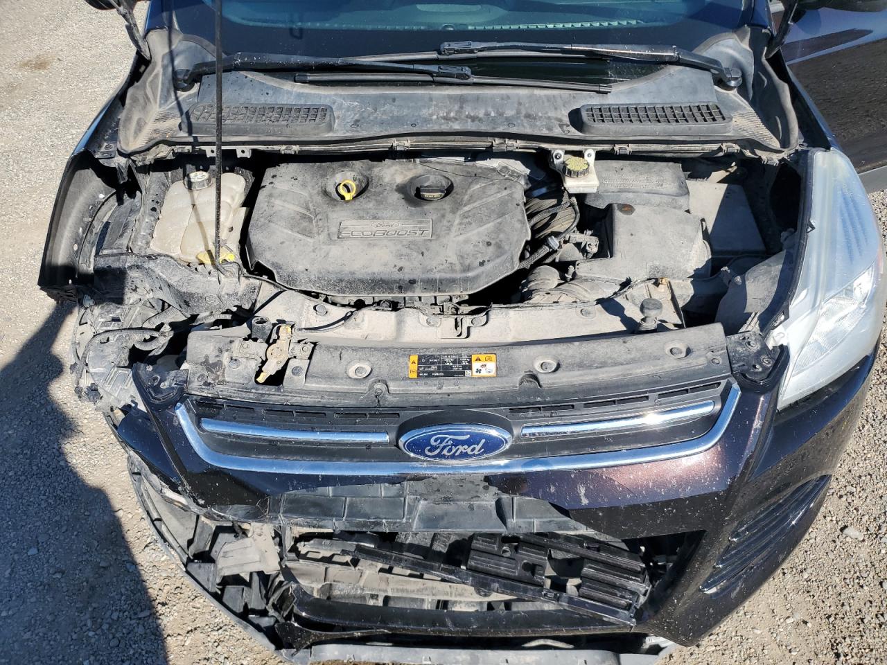 Ford Escape Sel Image 11