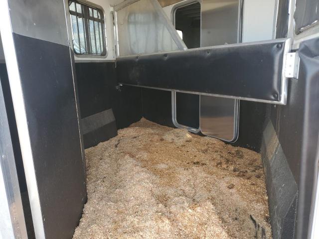 Logan Horsetrail Image 4