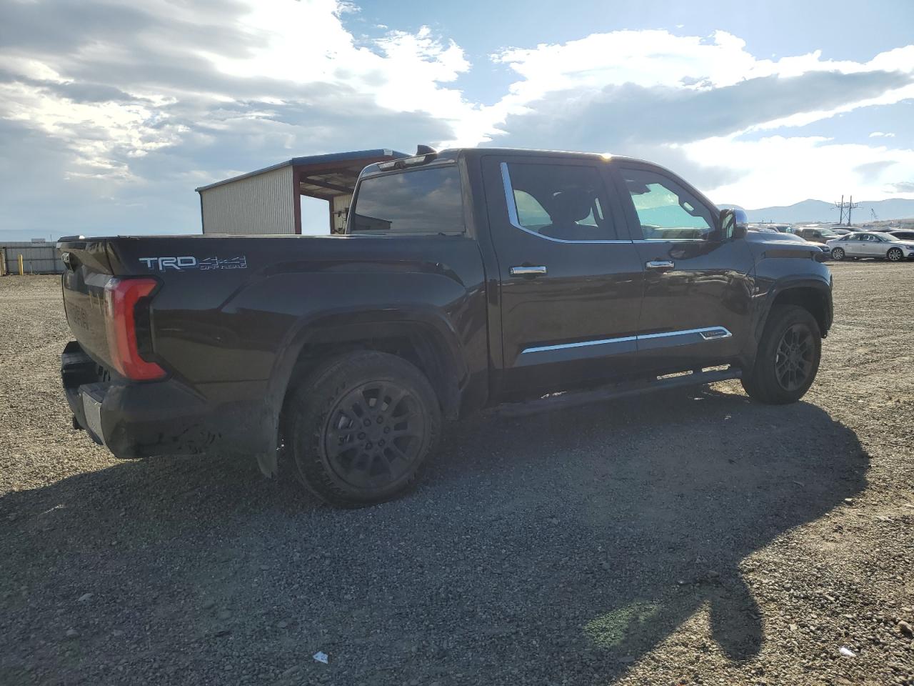 Toyota Tundra Crewmax Platinum Image 11