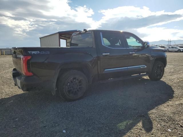 Toyota Tundra Crewmax Platinum Image 11