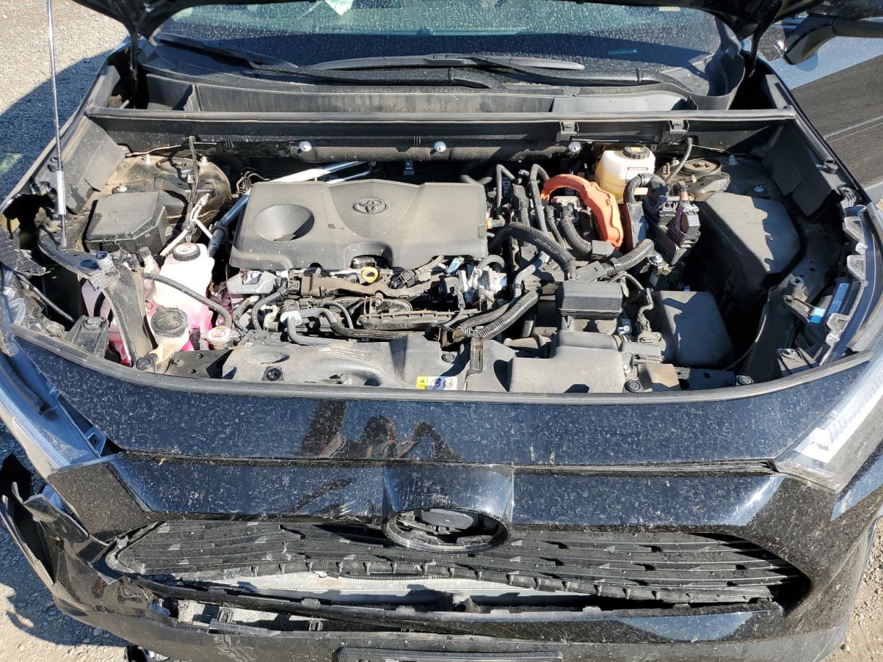 Toyota RAV4 Woodland Edition Image 2