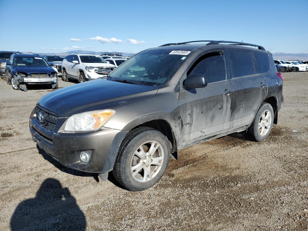 Toyota RAV4 Image 1