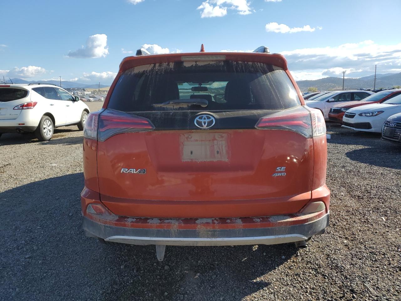 Toyota RAV4 Se Image 7