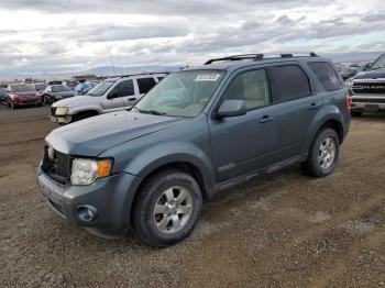  Salvage Ford Escape