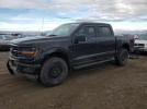 Ford F-150 Xlt Image 1