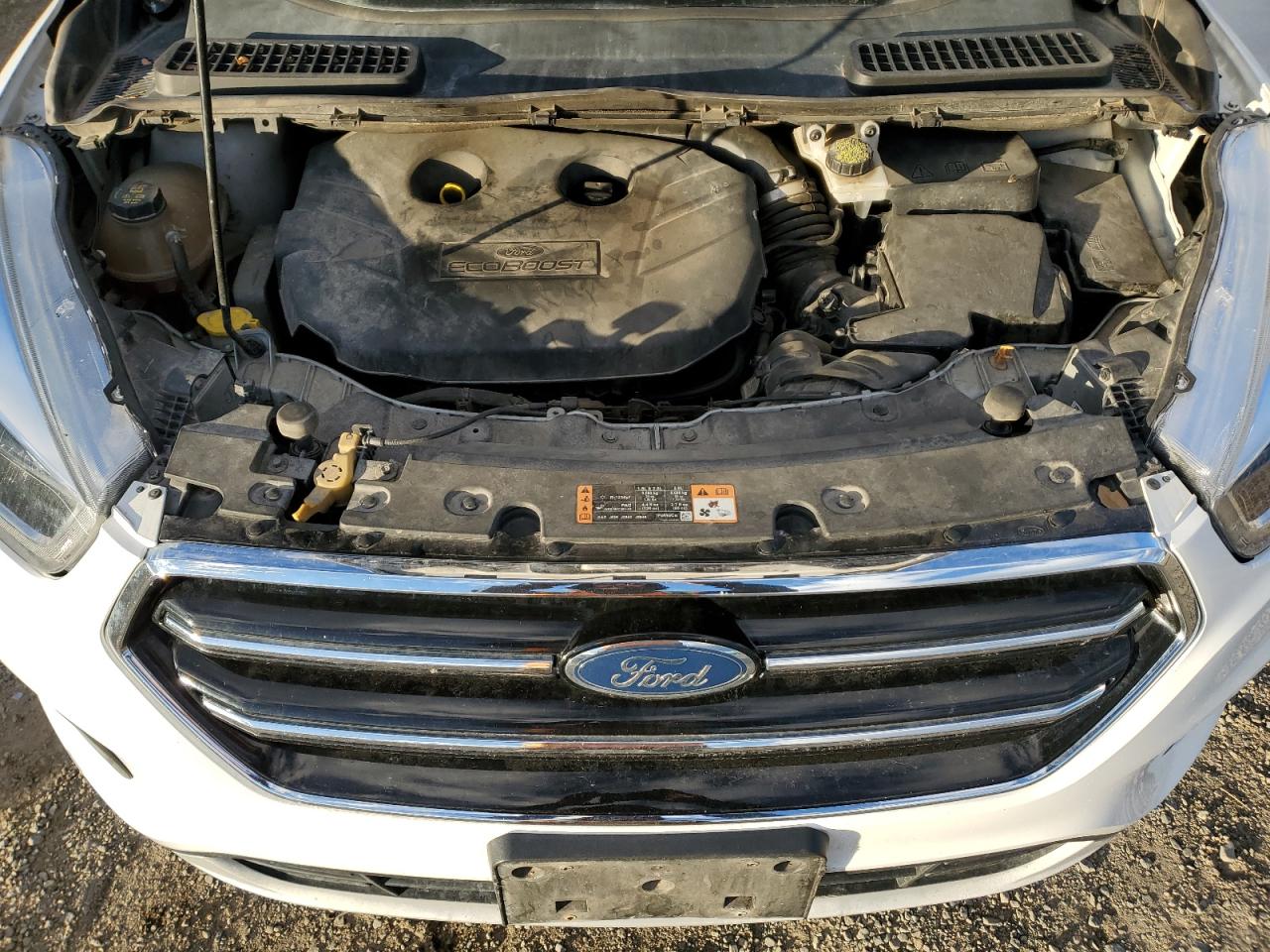 Ford Escape Se Image 11