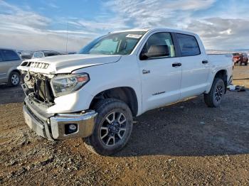  Salvage Toyota Tundra