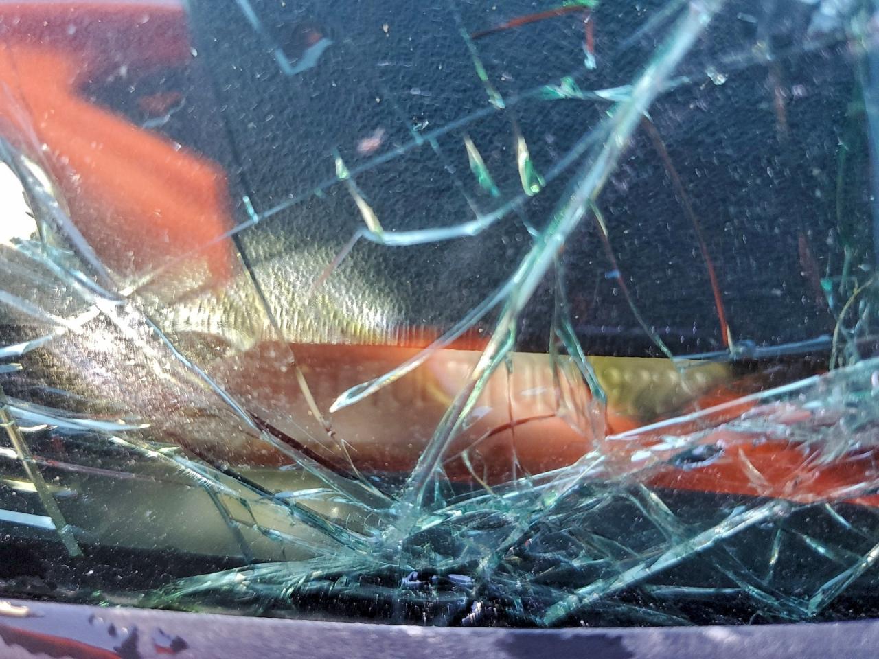 Ford Explorer Sport Image 8