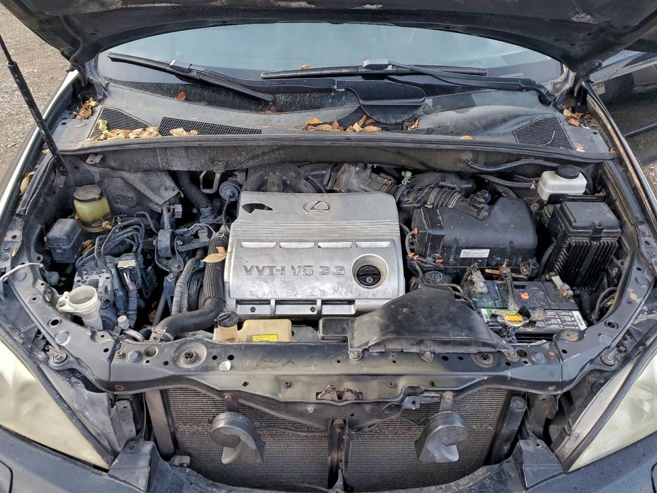 Lexus RX 330 Image 6