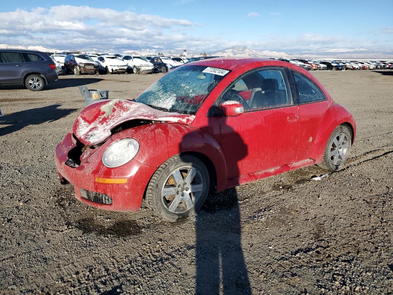 Volkswagen Beetle Tdi Image 1