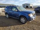 Ford Escape Xlt Image 4