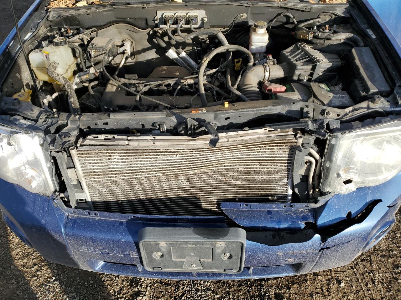 Ford Escape Xlt Image 3