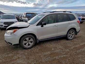  Salvage Subaru Forester