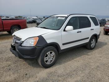  Salvage Honda Crv
