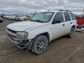  Salvage Chevrolet Trailblazer
