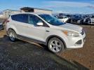Ford Escape Se Image 6