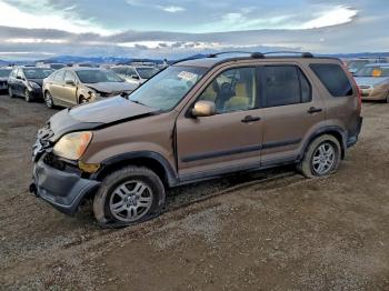  Salvage Honda Crv