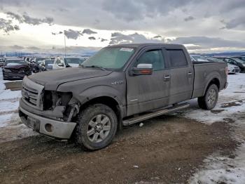  Salvage Ford F-150