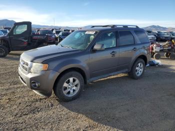  Salvage Ford Escape
