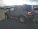 Ford Escape Limited Image 5