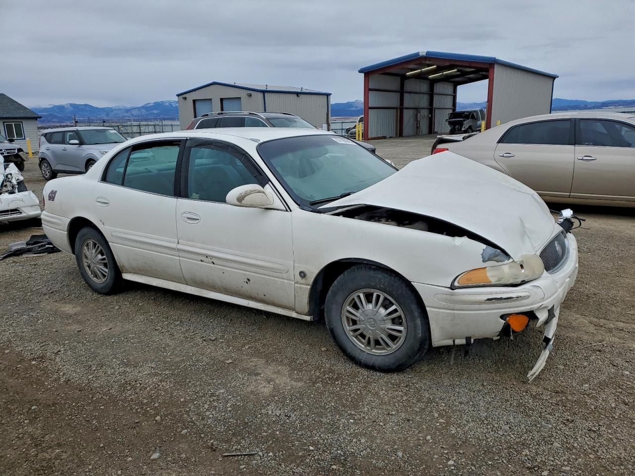 Buick LeSabre Custom Image 3