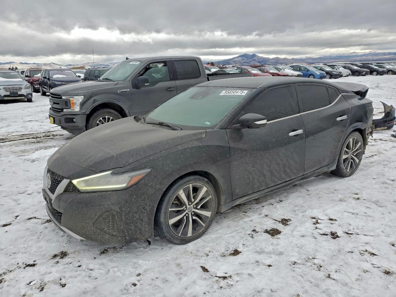 Nissan Maxima Sv Image 1