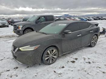  Salvage Nissan Maxima